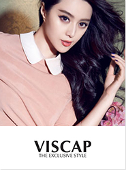  VISCAP